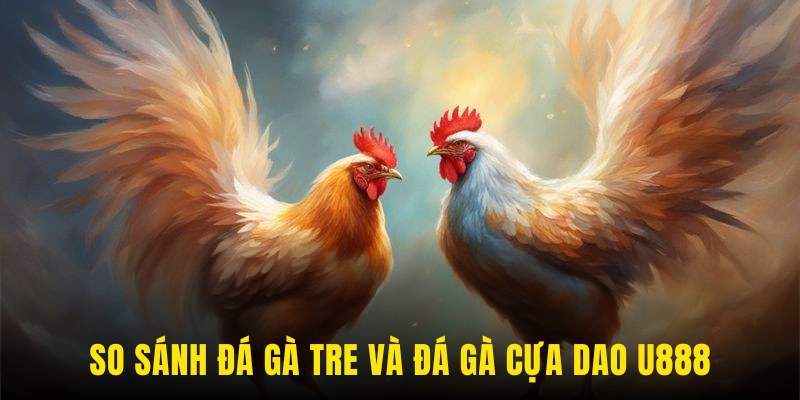 Đá gà tre và bộ môn đá gà cựa khác nhau điểm gì?