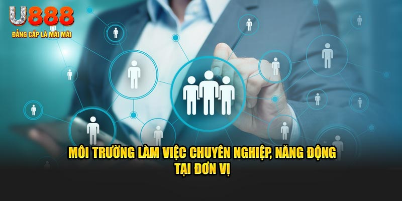 Môi trường làm việc chuyên nghiệp, năng động tại đơn vị