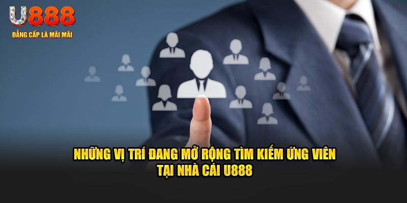 Những vị trí đang mở rộng tìm kiếm ứng viên tại nhà cái U888